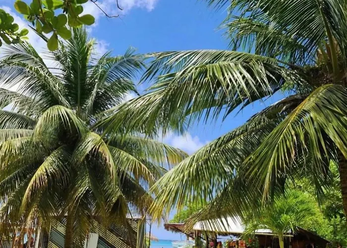 Carib Condominium Resort Aparthotel *
