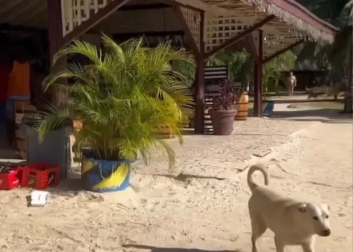 Aparthotel Carib Condominium Resort *